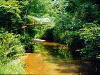 28ft. bridge
