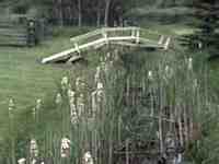 15ft. bridge