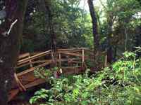 24ft. bridge