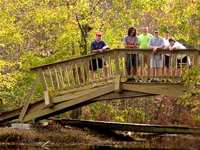 30ft. bridge